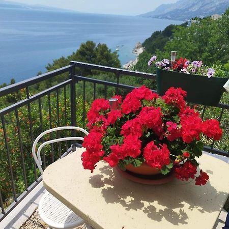 Apartments Mare - 150 M From Beach Brela Exterior photo