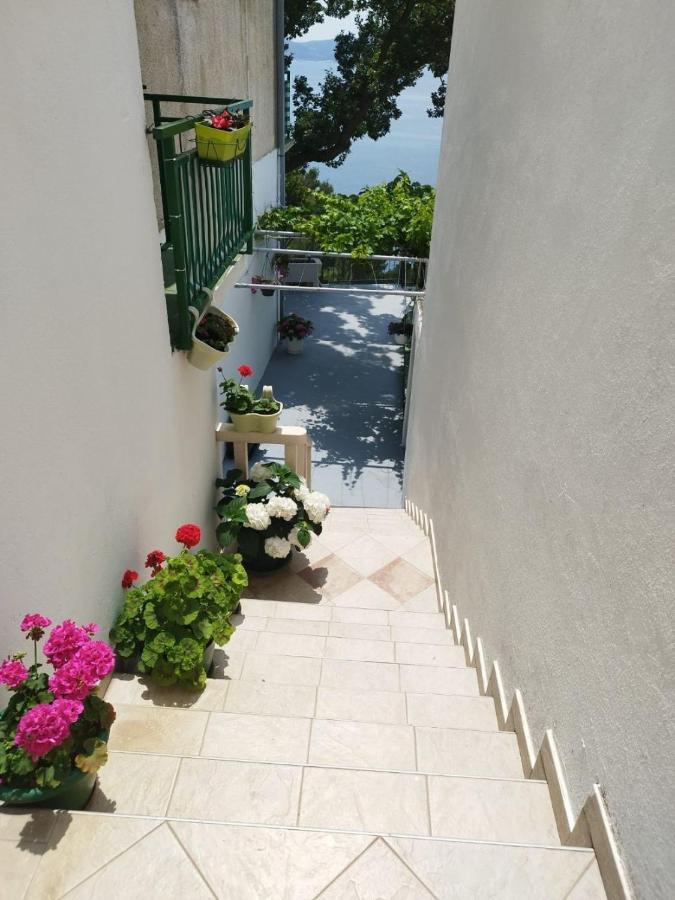 Apartments Mare - 150 M From Beach Brela Exterior photo